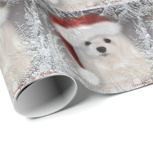 Presente Snowdrop o papel de envolvimento maltês do Natal