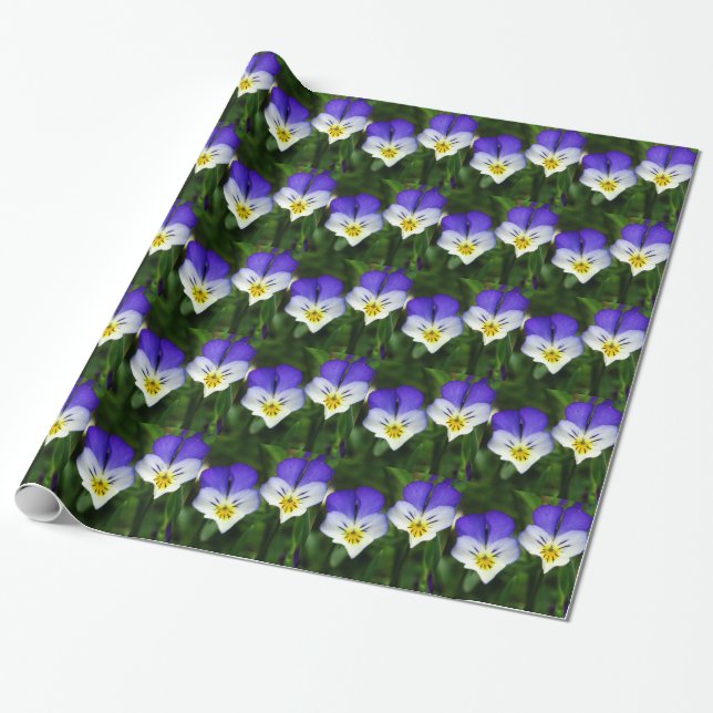 Presente violetas bonitos do papel de envolvimento (Desenrolado)