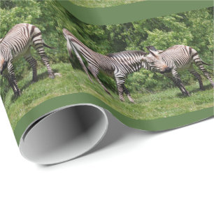 Presente Zebras no Papel de Embalagem no Amor
