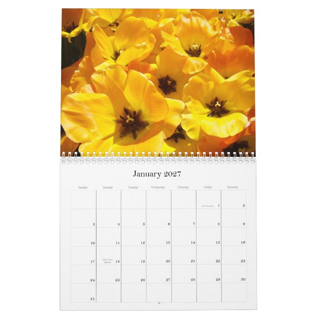 Presentes Calendário Os Professores são Heróis Diá (Jan 2027)