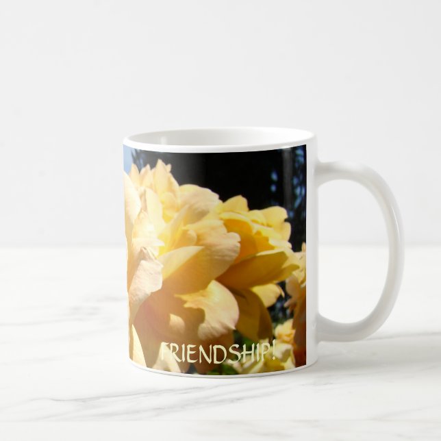Presentes de AMIZADE Caneca de Café Laranja ROSAS (Direita)