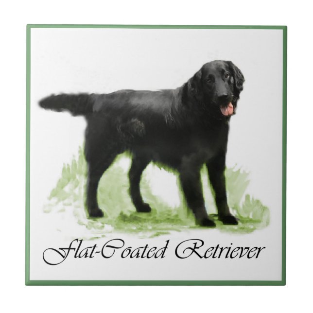 Presentes De Arte De Retriever De Revestimento Sim (Frente)