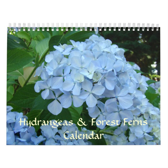 Presentes de Calendário de HORTÊNSIAS & SAMAMBaias (Capa)
