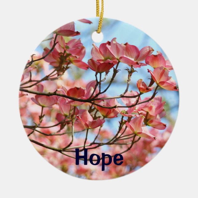 Presentes de esperança pendurados Ornamentos Árvor (Frente)