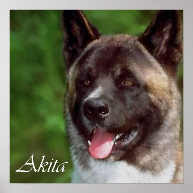 Presentes de Impressão de Arte de Akita (Frente)