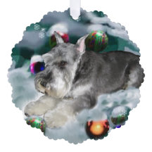 Presentes de Natal de Miniatura Schnauzer