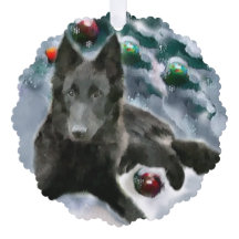 Presentes de Natal em Sheepdog Belgas