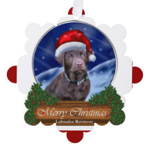 Presentes de Natal para Labrador de Chocolate