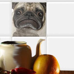 Presentes de Puggy Grumpy