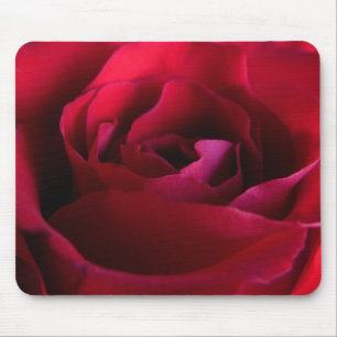 Presentes de Rosa vermelha do Mousepad de Flor Ver