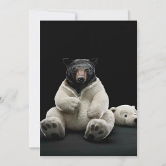 Presentes de Urso Polar | Amantes De Urso Polar