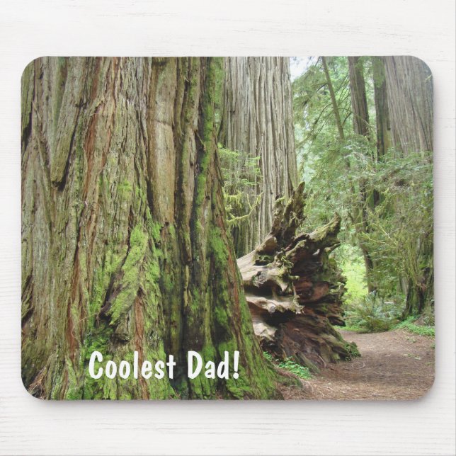 Presentes Mousepad Árvores Big Redwood Pai mais Le (Frente)
