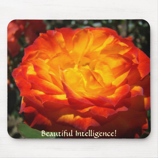 Presentes para o escritório mousepad de rosa de In (Frente)