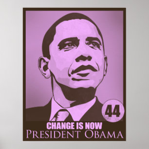 Presidente Obama, a mudança é agora Poster rosa