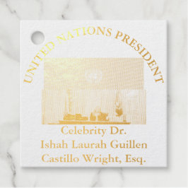 #PRESIDENTEDASNACOESUNIDAS DR. #LAURAHCASTILLOS ES