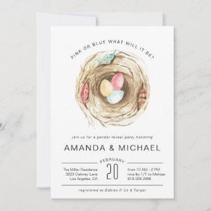 Prestes a Chocar Revelação do Sexo do Bebê no Ch