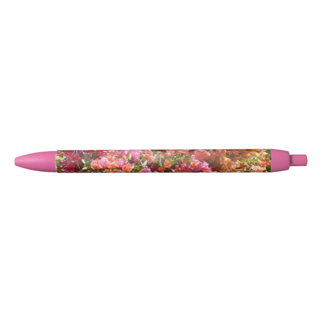 Preta Caneta de Corte Rosa Bougainvillea (Frente)