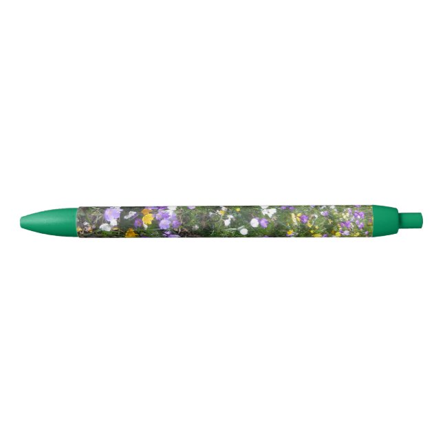 Preta Crocus Multicolor Spring Flowers Caneta Verde (Frente)