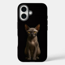Preto 4 Luxe iPhone 16 Mate, Gato Sphynx