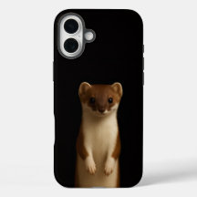 Preto 4 Luxe iPhone 16 Plus, Doninha Elegante