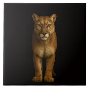 Preto 4 Luxe Telha com Silent Prime Puma