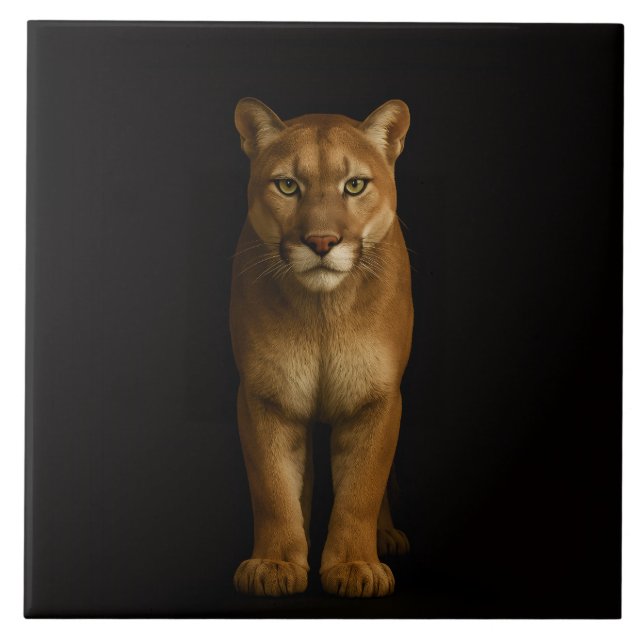 Preto 4 Luxe Telha com Silent Prime Puma (Frente)