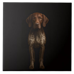 Preto 4 Luxo Azulejo com Cão Pointer Alemão