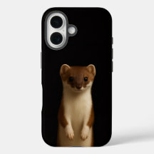 Preto 4 Luxo iPhone 16 Mate, Doninha Elegante