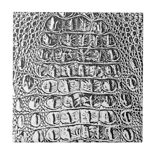 PRETO DE COURO & BRANCO DO JACARÉ DO VINTAGE (Frente)