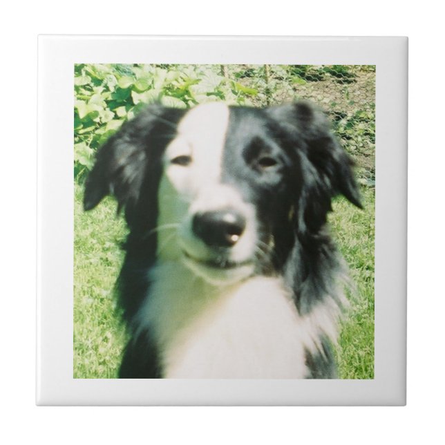 Preto E Branco (Frente)