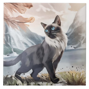 Preto e Branco Fluffy Cat.