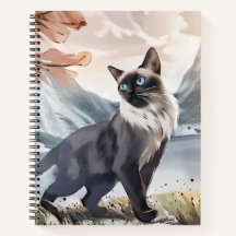 Preto e Branco Fluffy Cat.
