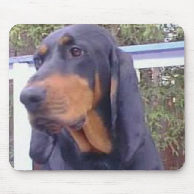 Preto e Coonhound Mousepad de Tan (Frente)