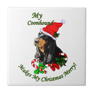 Preto e Natal do Coonhound de Tan