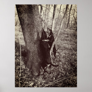 Preto e poster dos cães do racum de Tan