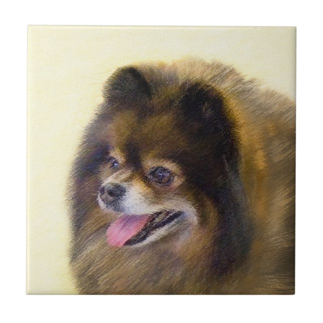 Preto e Tan de Pomeranian que pintam a arte (Frente)