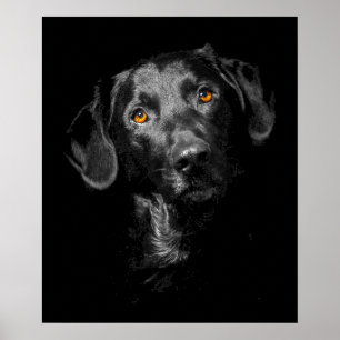 Preto Labrador Poster de Canvas de Cachorro Imprim