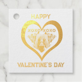 Pretty Pony in Red Valentine's Day for Kids