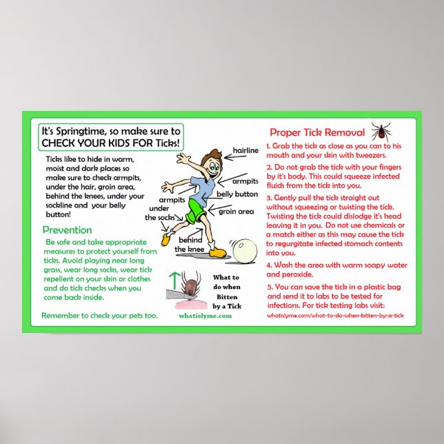 Prevenção da doença de Lyme com Poster de remoção  (Frente)