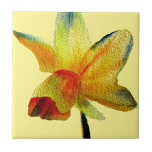 Primavera