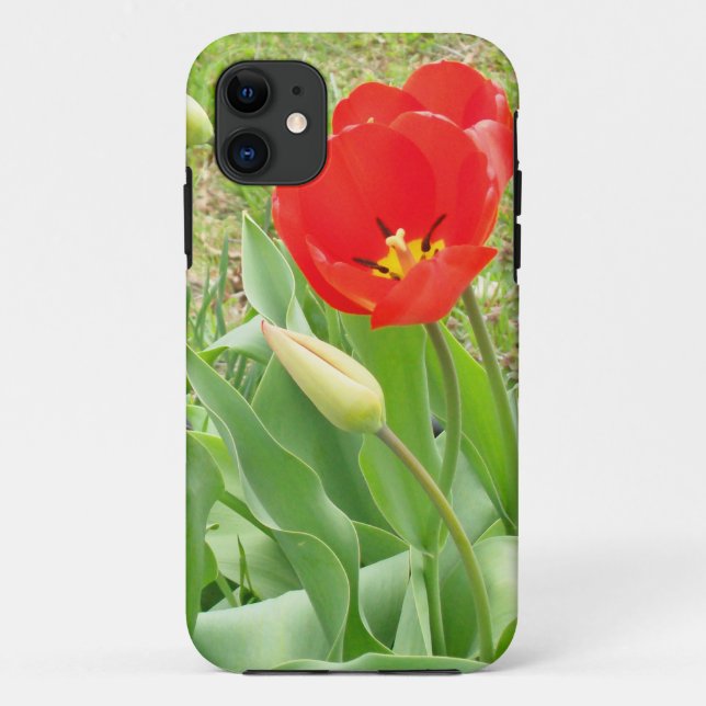 Primavera 17 capas de iphone (Verso)