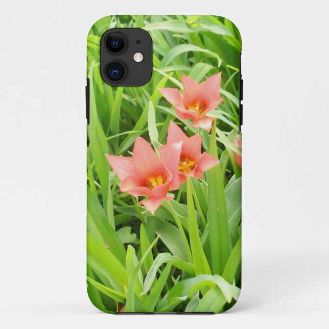 Primavera 20 capas de iphone (Verso)