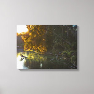Primavera azul, Canvas da Flórida