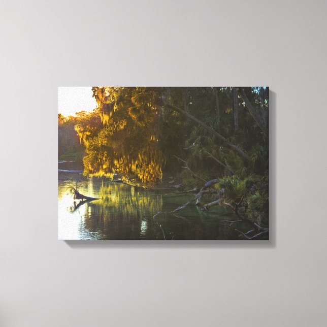 Primavera azul, Canvas da Flórida (Frente)