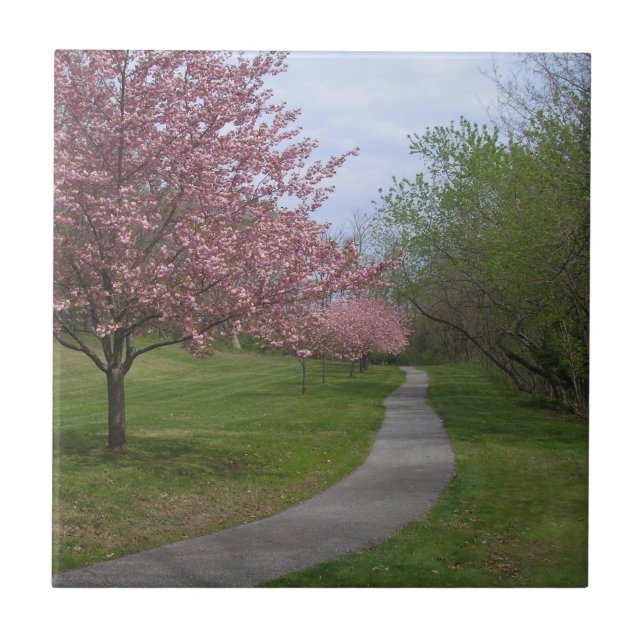 Primavera!Azulejo cerâmico (Frente)