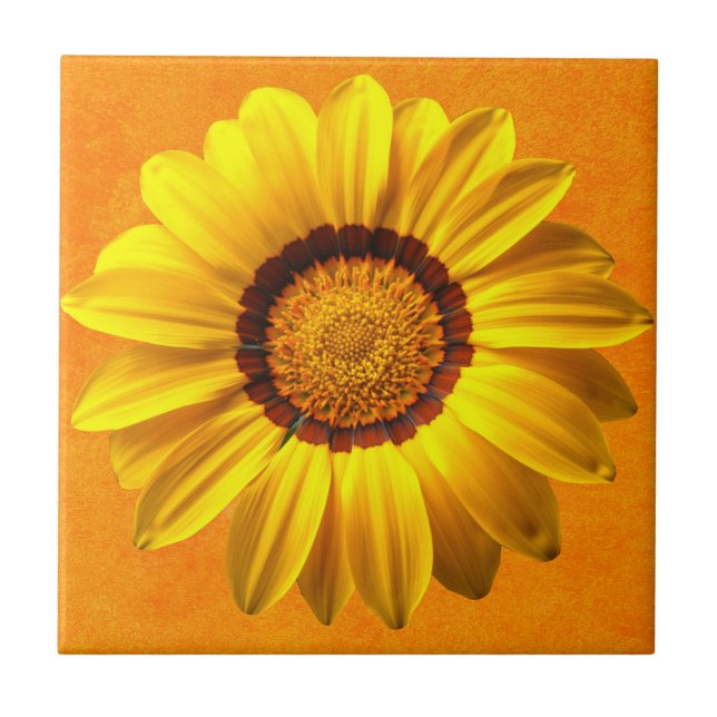 Primavera bela flor amarela (Frente)