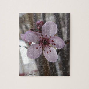 Primavera Blossom Quebra-cabeça