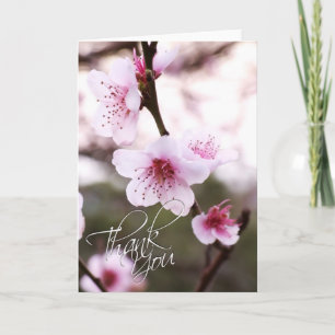 Primavera Blossomo Cartões de agradecimentos