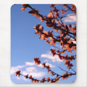 Primavera Blossoms Mousepad