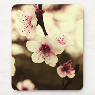 Primavera Blossoms Mousepad